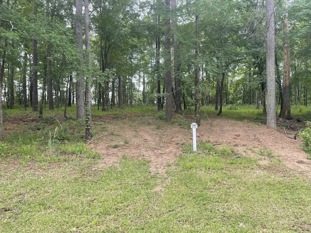 N-75 Eutaw Springs Trl, North Augusta, SC 29860 - photo 1