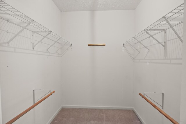 172 NW Governors Ln, Aiken, SC 29801 - photo 27
