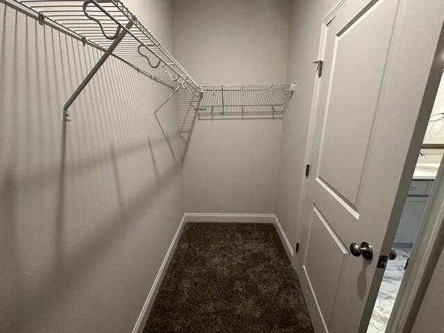 1085 Primrose Dr, North Augusta, SC 29860 - photo 15