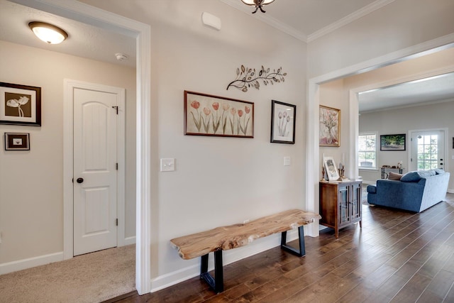 1391 Ackerman Dr, Graniteville, SC 29829 - hall featuring ornamental molding, dark wood-style flooring, and baseboards