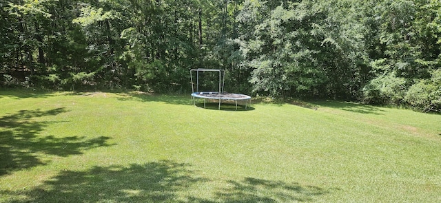 168 Watson St, Lincolnton, GA 30817 - photo 15