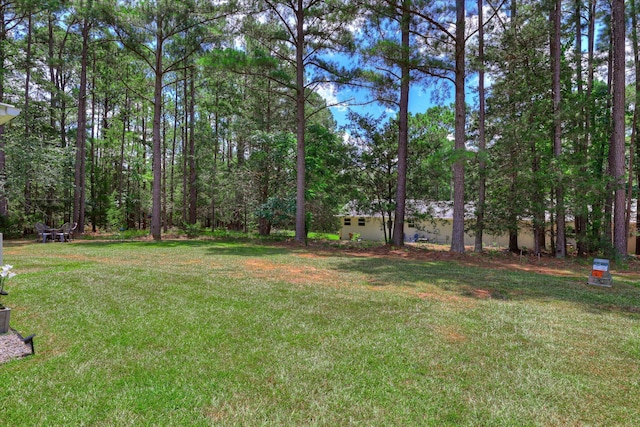 136 Edmunds Cemetery Rd, Mccormick, SC 29835 - photo 36