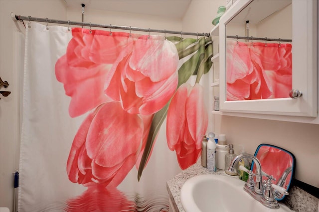 bathroom with sink