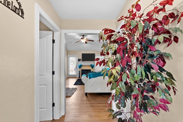 hallway with wood-type flooring