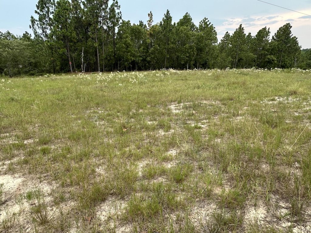2070 Greenland Rd, Blythe, GA 30805 - photo 3