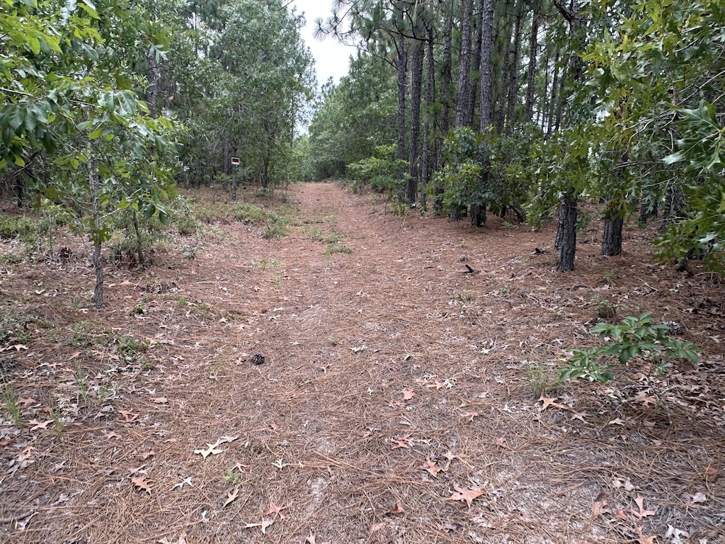 2070 Greenland Rd, Blythe, GA 30805 - photo 4