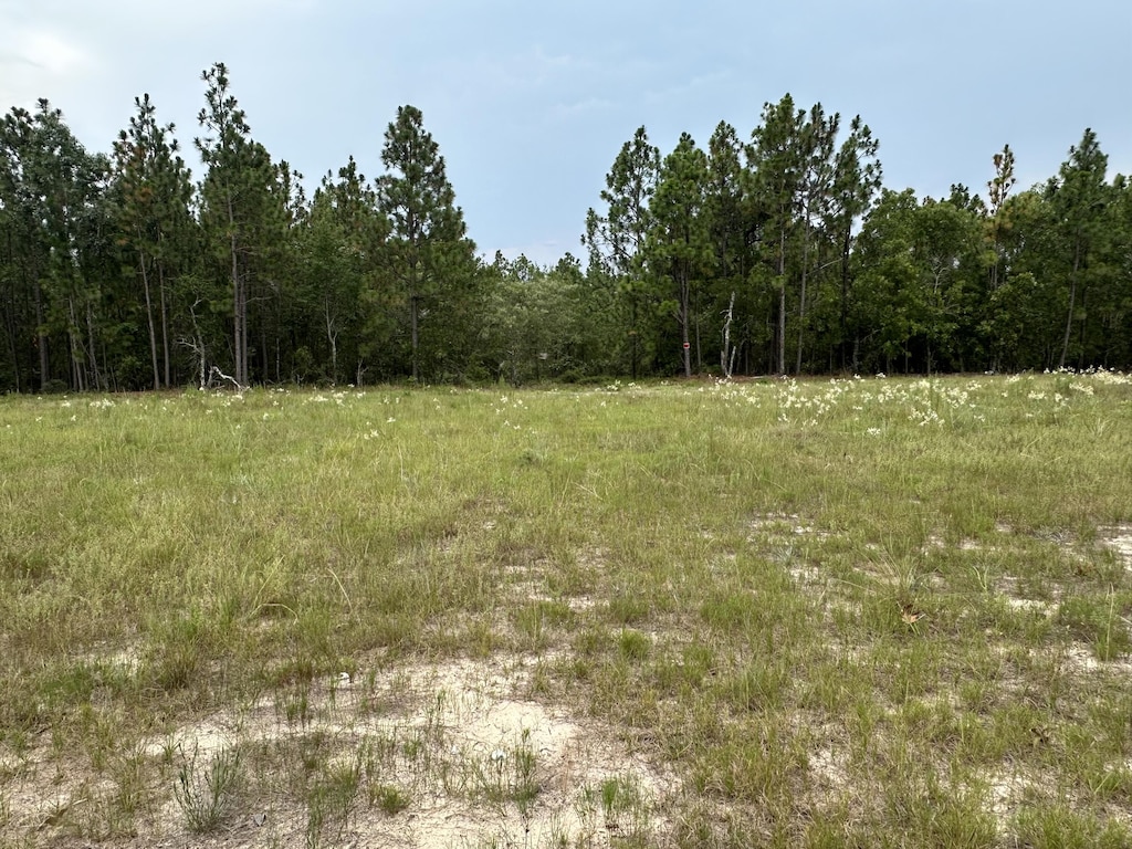 2070 Greenland Rd, Blythe, GA 30805 - photo 2