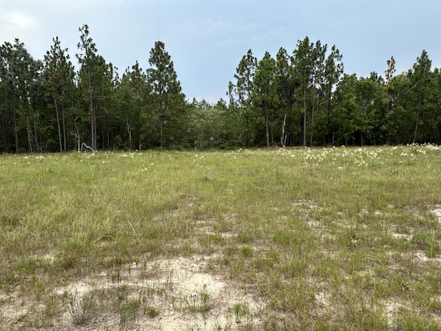 2070 Greenland Rd, Blythe, GA 30805 - photo 2