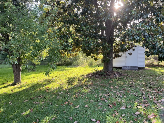 3323 Young Forest Dr, Augusta, GA 30906 - view of green lawn with a storage unit