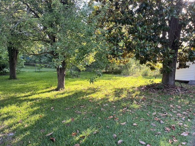 3323 Young Forest Dr, Augusta, GA 30906 - view of grassy yard