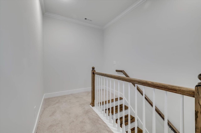 stairway with carpet and ornamental molding