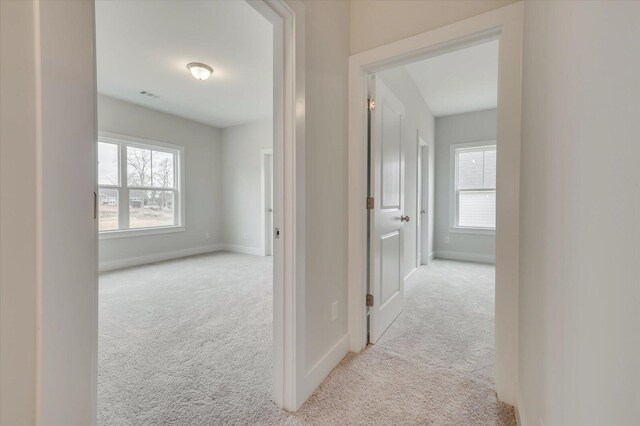 hallway featuring light carpet