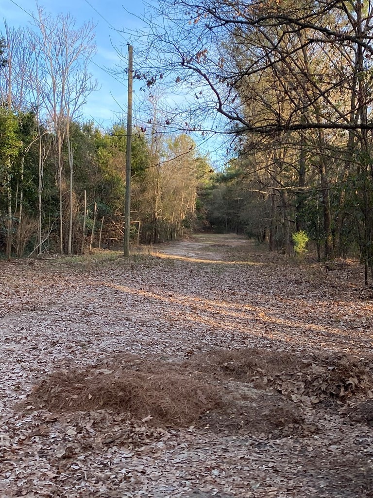 0 Planer Mill Rd, Harlem, GA 30814 - photo 2