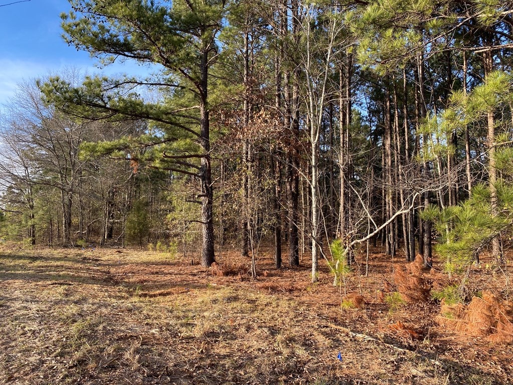 0 Planer Mill Rd, Harlem, GA 30814 - photo 3