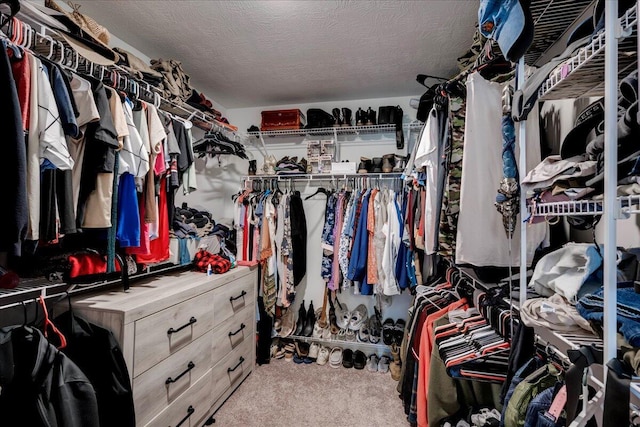 walk in closet with carpet floors