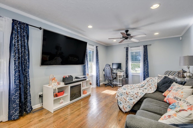 living room with light hardwood / wood-style flooring, ceiling fan, and crown molding