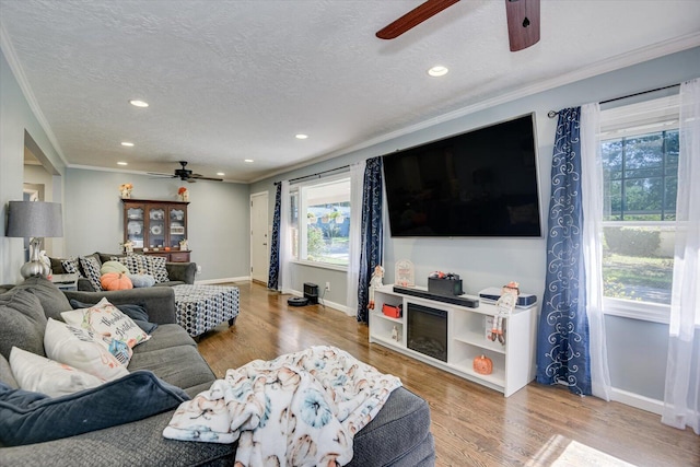 living room featuring wood-type flooring, a textured ceiling, and crown molding