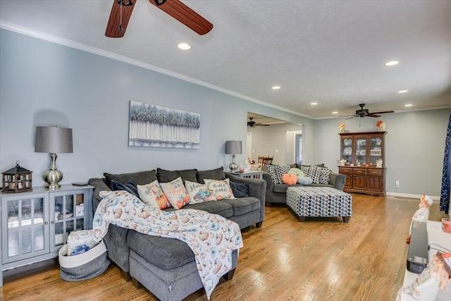 living room with crown molding, light hardwood / wood-style floors, and a textured ceiling