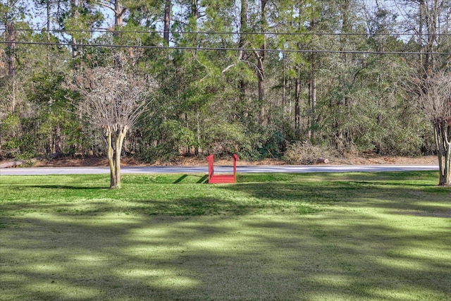 view of community featuring a lawn