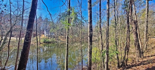 water view with a view of trees