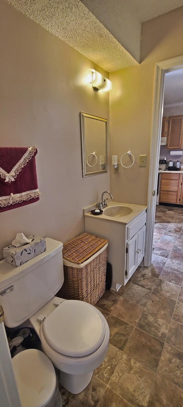 bathroom with vanity, toilet, and stone finish flooring