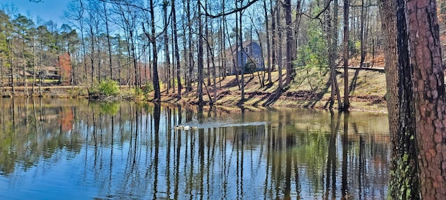 view of water feature