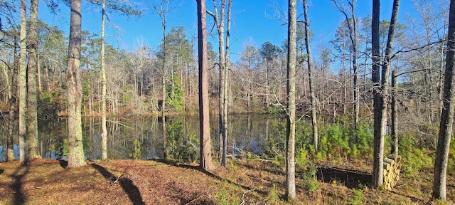 view of local wilderness featuring a view of trees