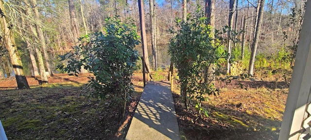 view of yard featuring a view of trees