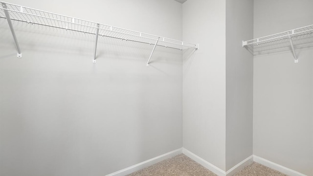 1255 Birch Cir, Grovetown, GA 30813 - spacious closet with carpet