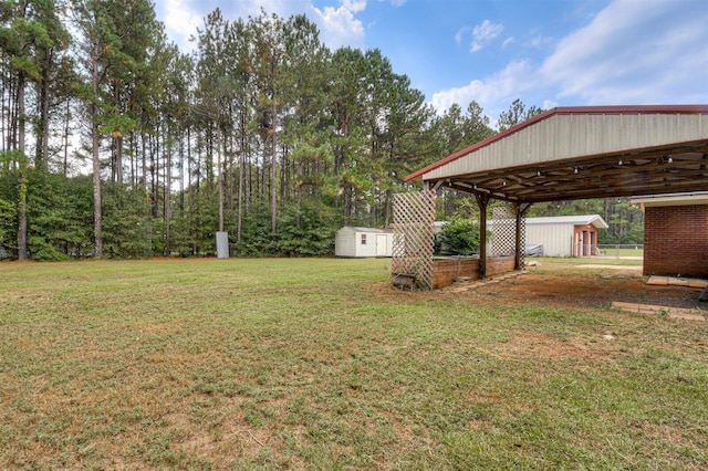 view of yard featuring a storage shed