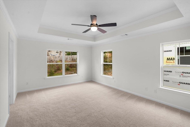 carpeted empty room featuring a raised ceiling, a wealth of natural light, and ornamental molding