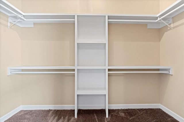 241 Walker St, Augusta, GA 30901 - spacious closet with carpet floors