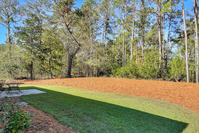 view of yard featuring a patio