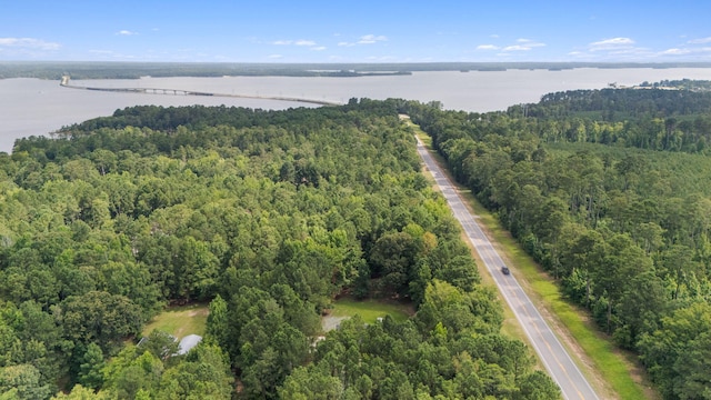 4200 Waters Edge Ln, Appling, GA 30802 - view of property location featuring a large body of water and a notable bridge