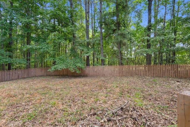 4200 Waters Edge Ln, Appling, GA 30802 - view of fenced backyard