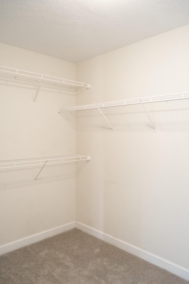 724 Avrett Cir, Evans, GA 30809 - spacious closet with carpet