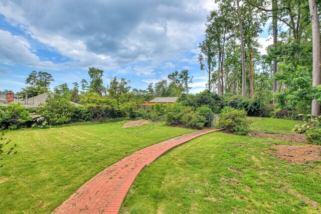 3410 Walton Way, Augusta, GA 30909 - view of green lawn