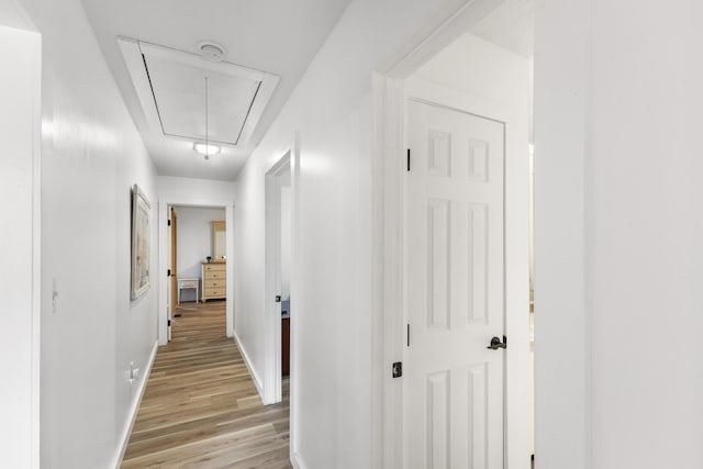 corridor with light wood-type flooring