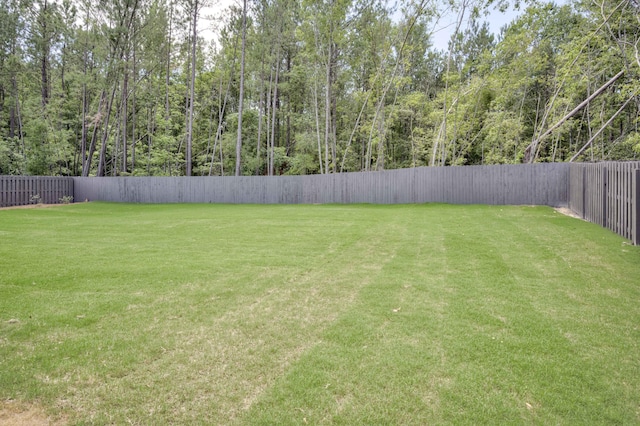 3909 Lakeside Pass, Hephzibah, GA 30815 - view of yard