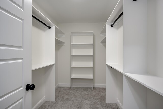 3909 Lakeside Pass, Hephzibah, GA 30815 - spacious closet with light colored carpet