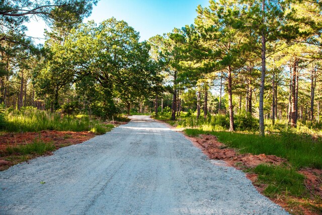 7175 Bill Dorn Rd, Appling, GA 30802