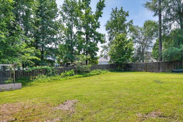 1076 Conn Dr, Evans, GA 30809 - view of yard