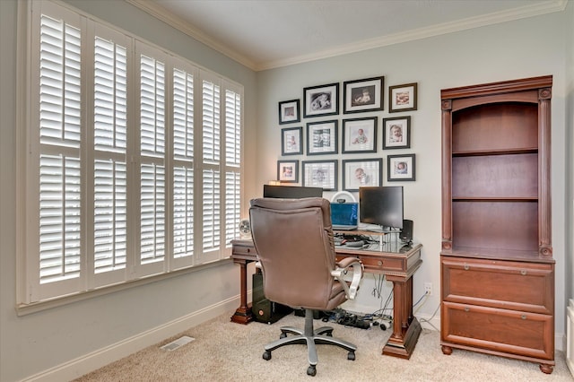 1076 Conn Dr, Evans, GA 30809 - office featuring carpet, ornamental molding, and baseboards