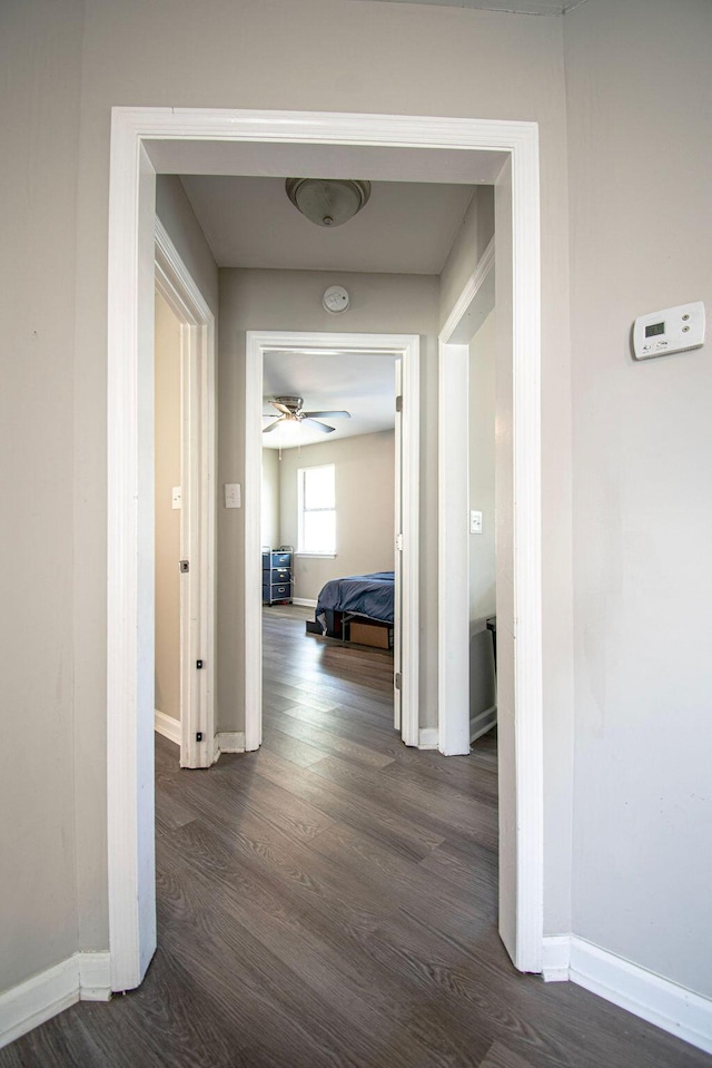 2974 Dahlia Dr, Augusta, GA 30906 - photo 10