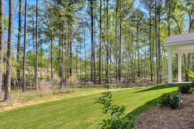 6067 Mottled Duck Dr, North Augusta, SC 29860 - photo 39
