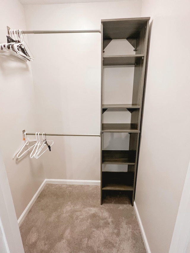 walk in closet featuring carpet flooring