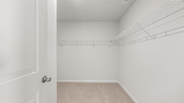 walk in closet featuring light colored carpet