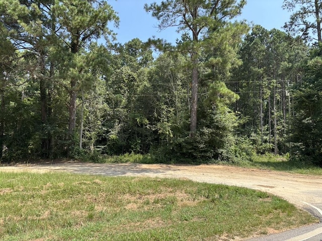 0 Greensboro Rd, Washington, GA 30673 - photo 23