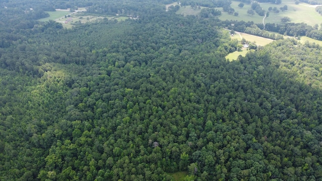 0 Greensboro Rd, Washington, GA 30673 - photo 12