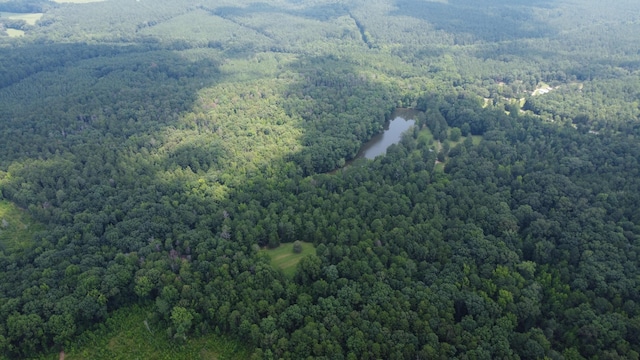 0 Greensboro Rd, Washington, GA 30673 - photo 10